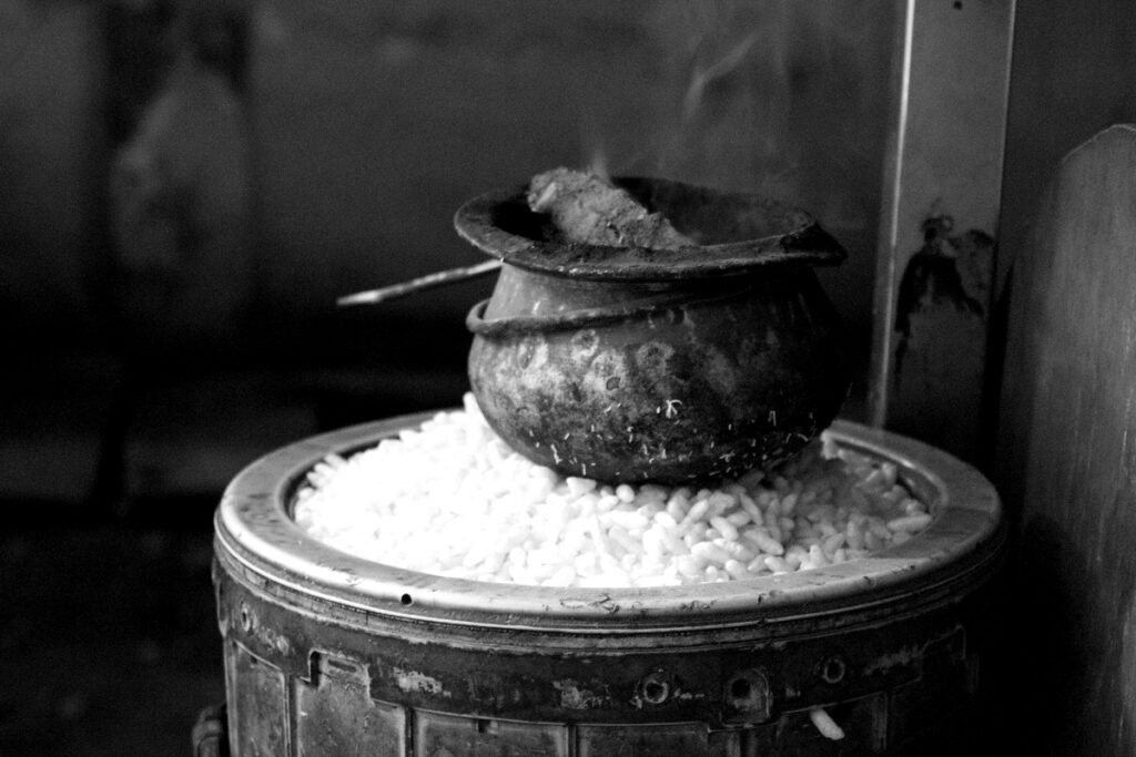 Agra street photography