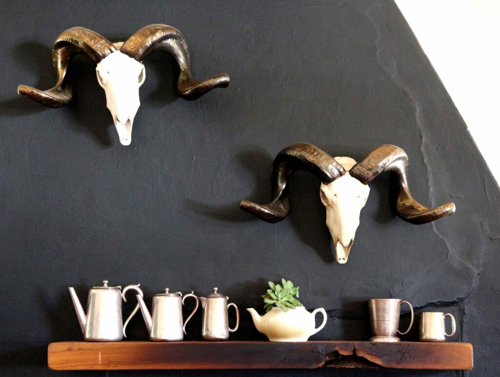 Buck heads above shelf in greyton