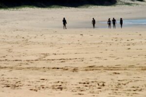 white pearl beach