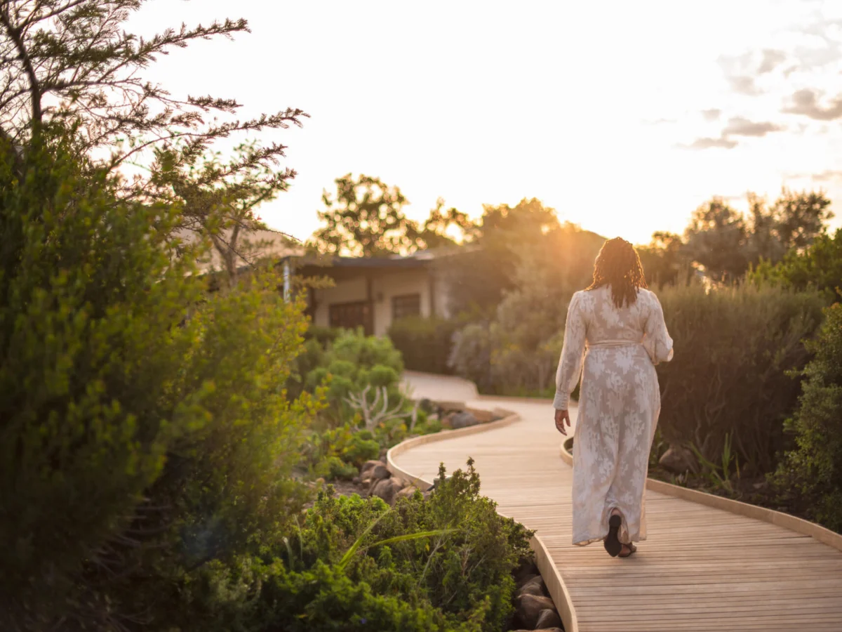 Boschendal Farm Franschhoek