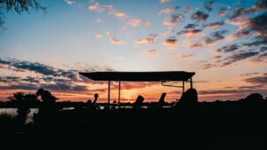 Game drive sunset