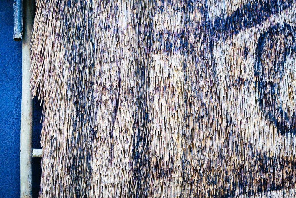 dried grass