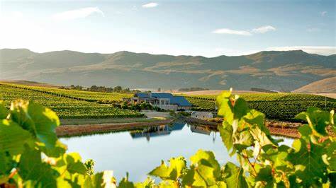 Overberg wines
