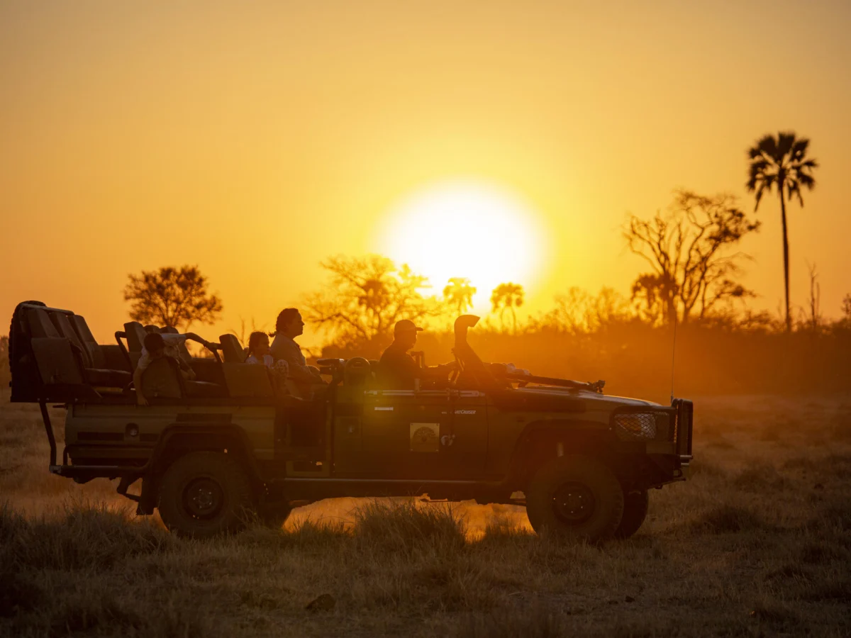 Sunset Game Drive Gomoti