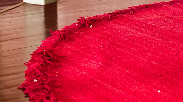 Rug at reception area