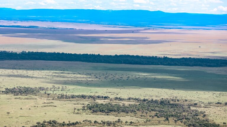 Angama Mara