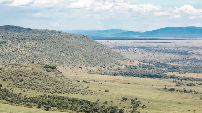 Views of Mara from Angama Mara