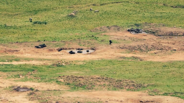 Views of Mara from Angama Mara