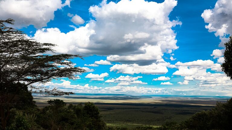 Views of the Mara