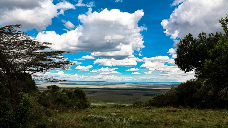 Views of the Mara
