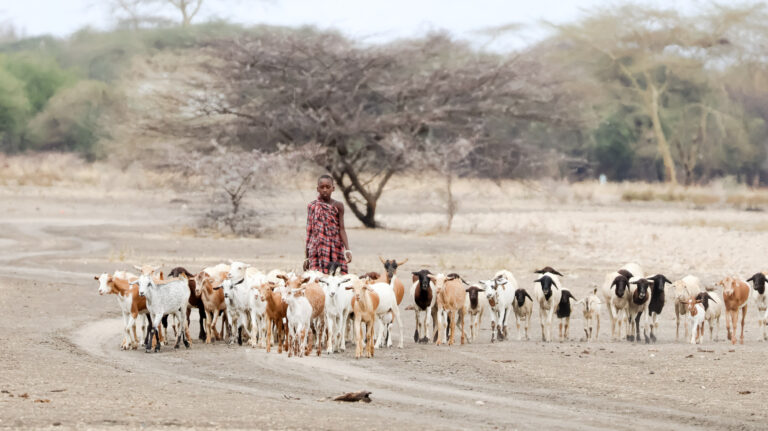 Locals in the Tarangire