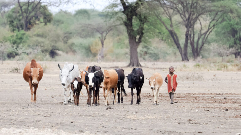 Locals in the Tarangire