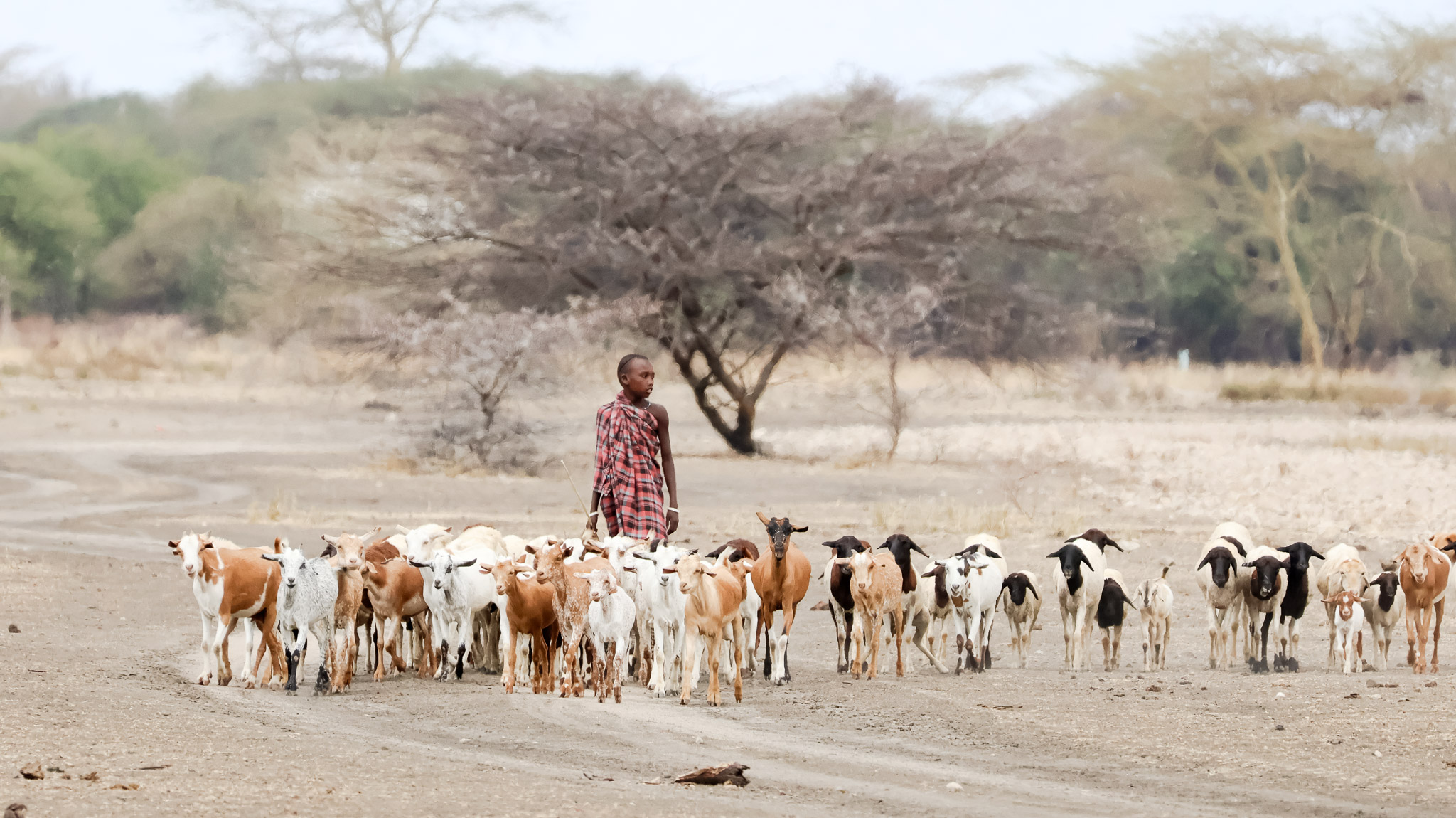Locals in the Tarangire