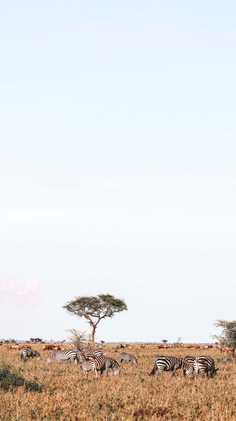 Landscapes in the Grumeti Serengeti