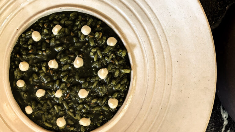 Plankton Risotto