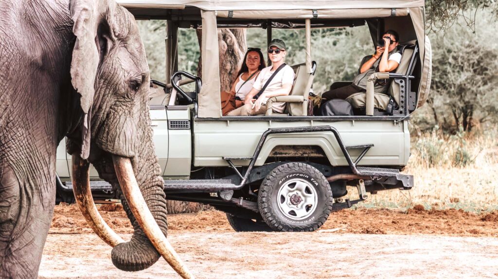 Game drive on safari