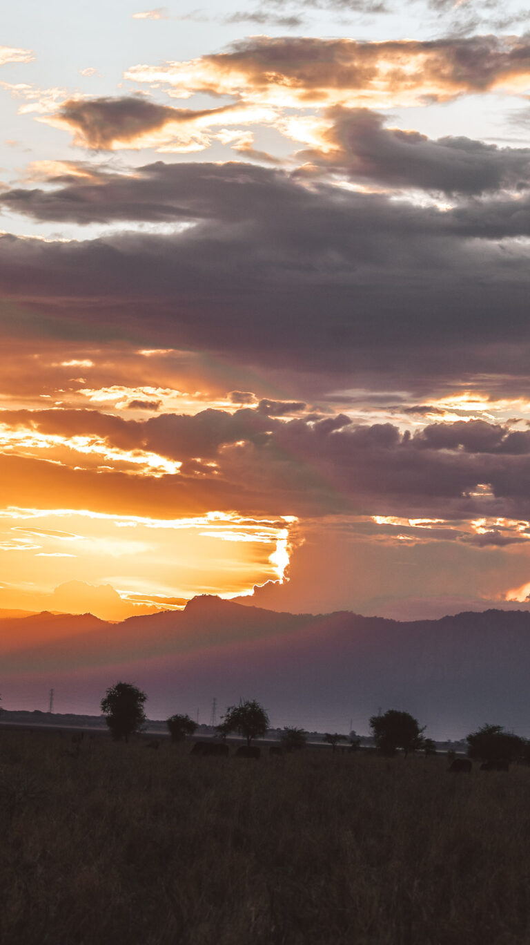 Sunset in the Tarangire