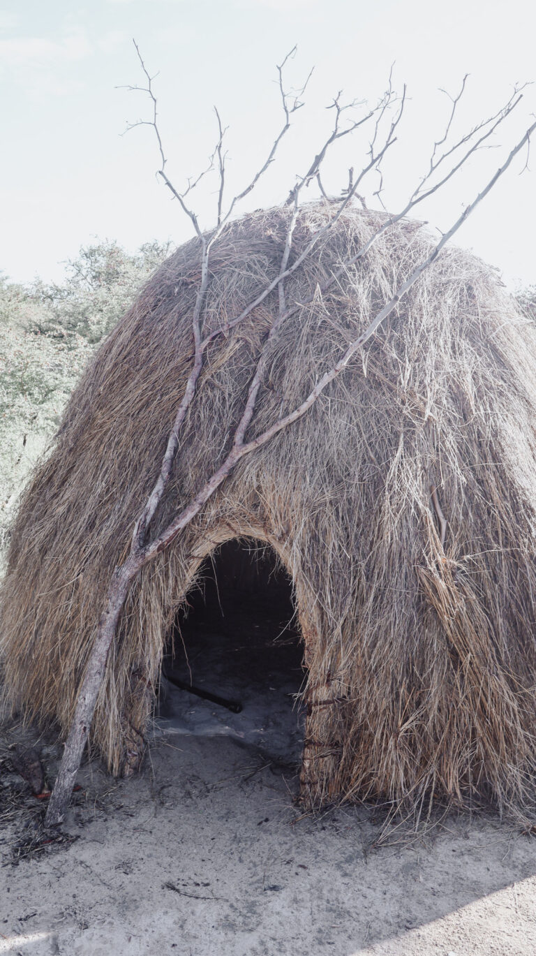 Bushman house
