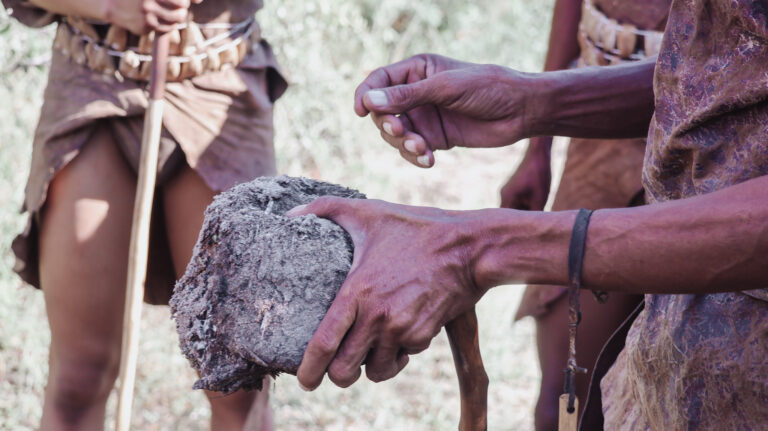 Insect repellent made from Elephant Dung