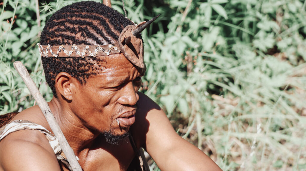 Horned Bushman
