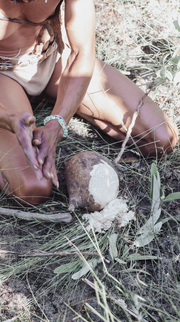 Roots for medicine