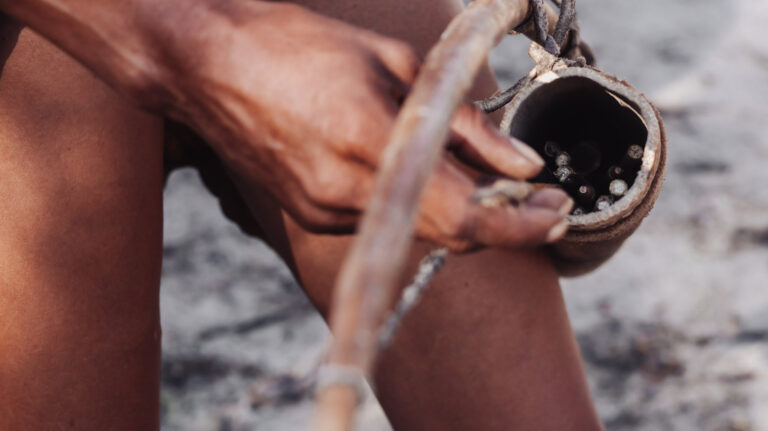weapons make from Bushman's