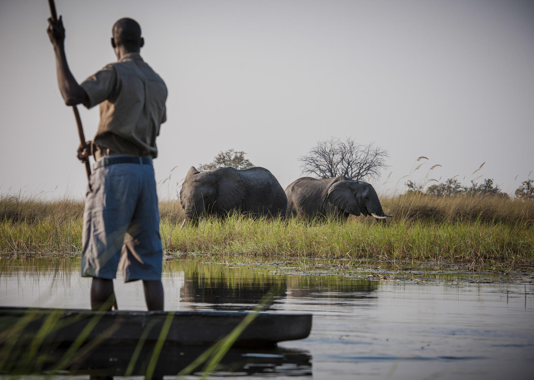 Botswana Mokoro with Elephants Khwai Private Reserve