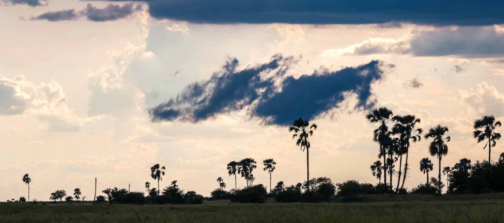 Landscapes of the Makgadikgadi Salt Pans