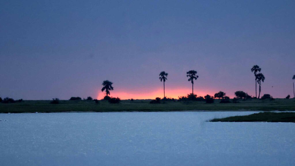 Landscapes of the Makgadikgadi Salt Pans