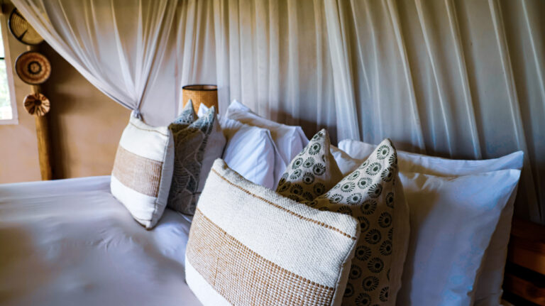 Mokolwane Camp Okavango Delta