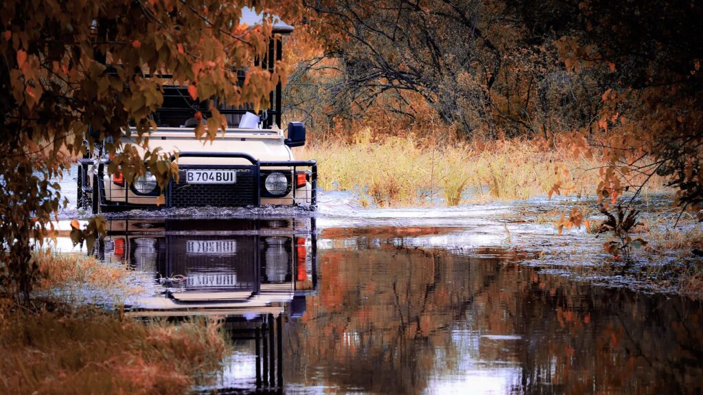 game drive through water