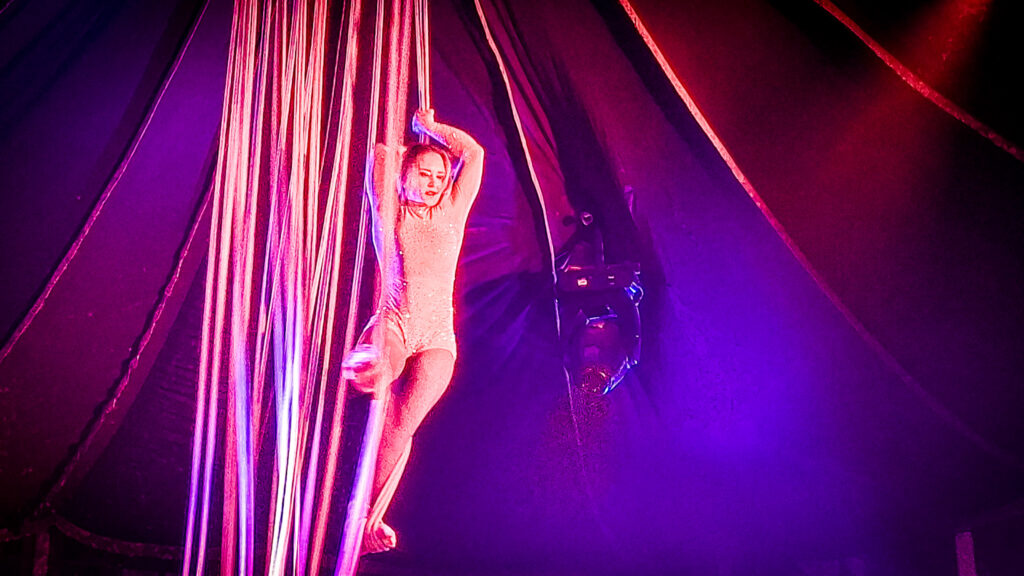 Madame Zingara