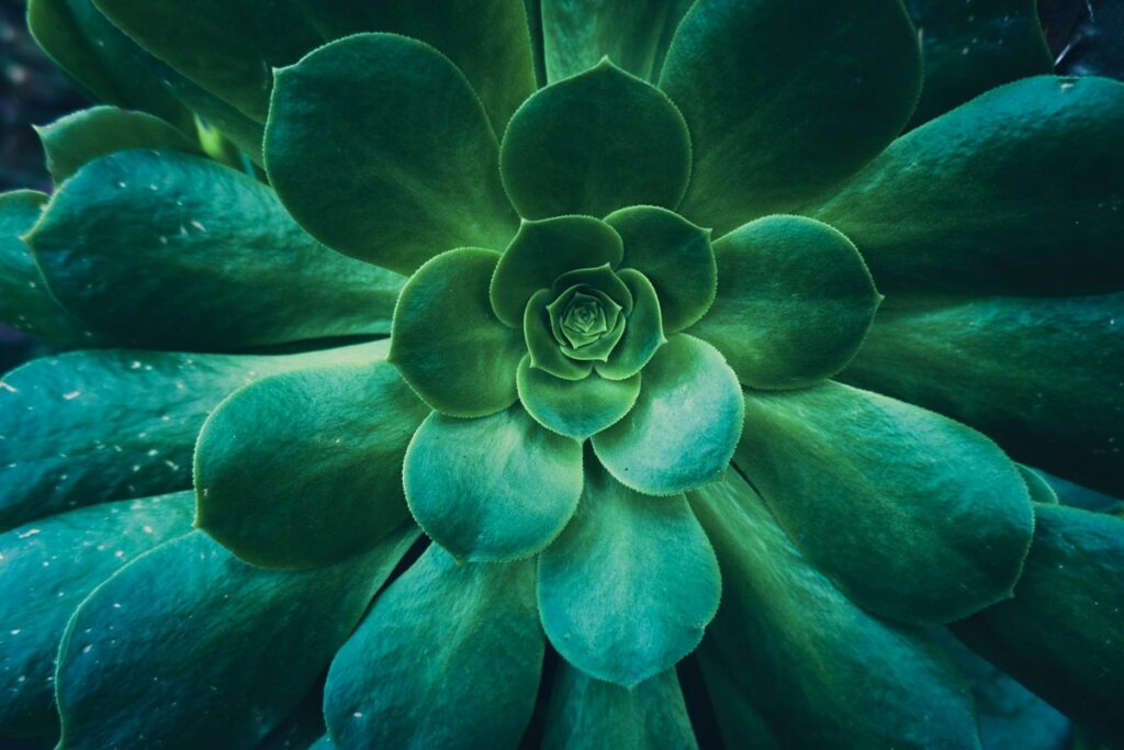 green