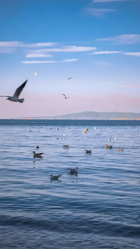 Beaches in turkiye