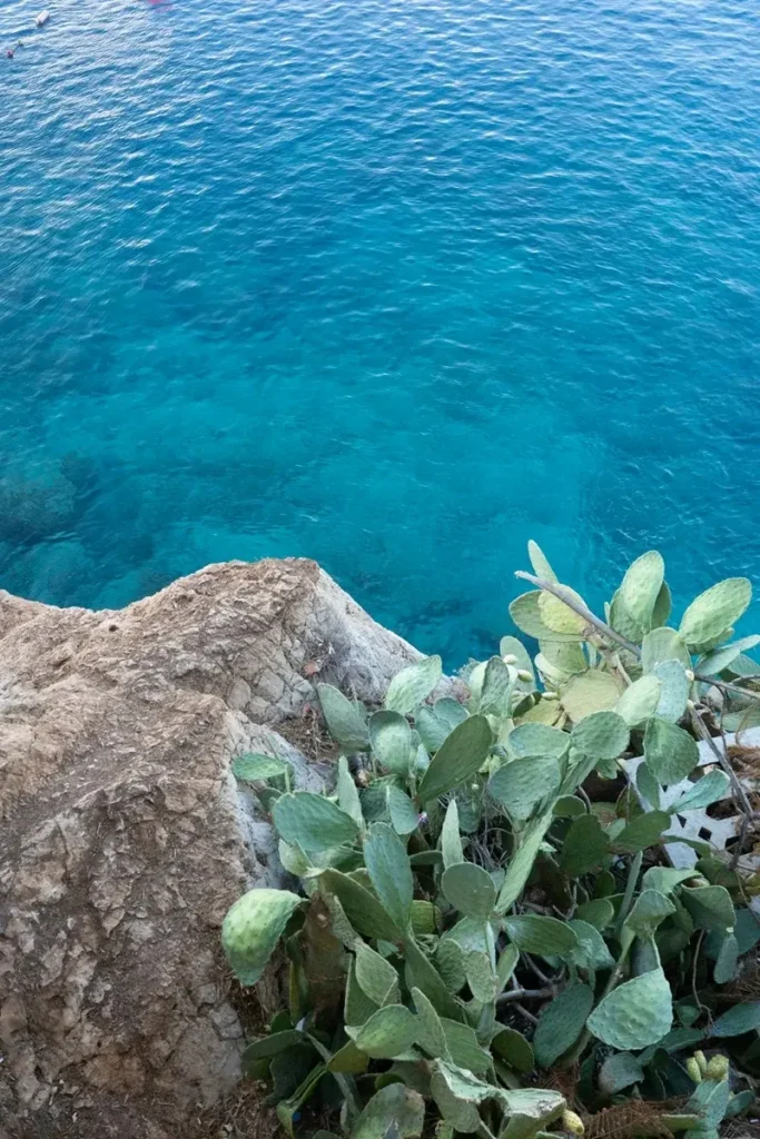 Beaches of turkey